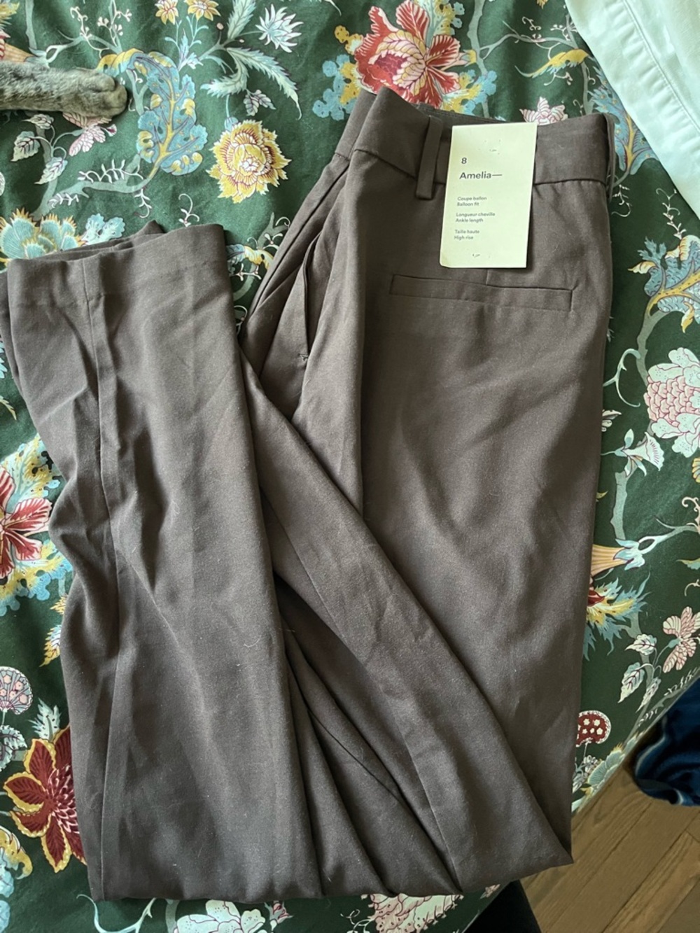 NWT Frank and Oak Dress Pants
